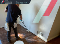Tulip Carpet Cleaning Coral Gables (6) - Cleaners & Cleaning services