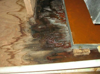 Mold Remediation Chandler Answers (1) - Huis & Tuin Diensten