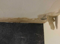 Mold Remediation Chandler Answers (3) - Servizi Casa e Giardino