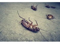 Placer County Pest Removal (2) - Haus- und Gartendienstleistungen