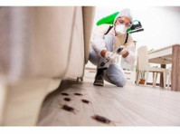 Placer County Pest Removal (3) - Home & Garden Services