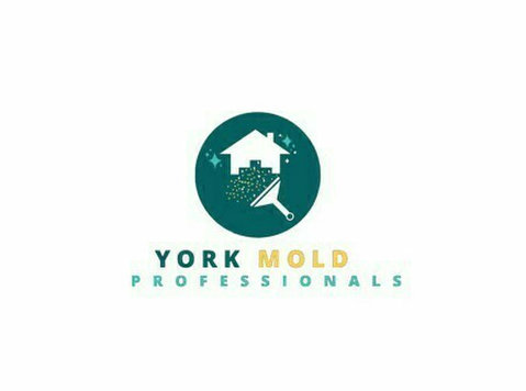 Mold Remediation York Pa Solutions - Servicii Casa & Gradina
