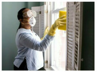 Mold Remediation York Pa Solutions (2) - Home & Garden Services