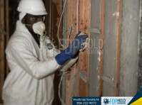 FDP Mold Remediation of Woodbridge (2) - Curăţători & Servicii de Curăţenie