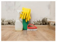 St. George Mold Removal Team (2) - Home & Garden Services