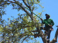 Liberty Tree Service (4) - Puutarhurit ja maisemointi