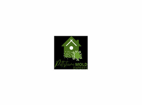Mold Remediation Pottstown Results - Mājai un dārzam