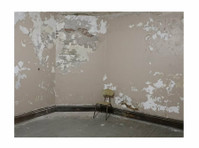 Mold Remediation Pottstown Results (1) - Huis & Tuin Diensten