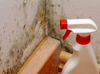 Mold Removal Lexington Solutions (1) - Servizi Casa e Giardino