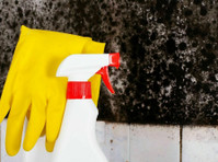 Mold Removal Lexington Solutions (3) - Домашни и градинарски услуги