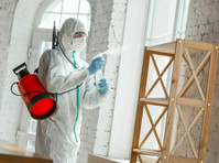 Mold Removal Lexington Solutions (4) - Дом и Сад