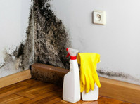 Mold Removal Lexington Solutions (5) - Υπηρεσίες σπιτιού και κήπου