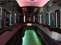 Party Bus Ann Arbor (2) - Car Transportation