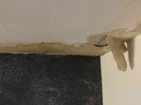Salt Lake City Mold Removal Solutions (1) - Servizi Casa e Giardino