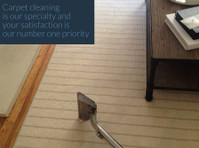 Hippo Carpet Cleaning of Severn (2) - Čistič a úklidová služba