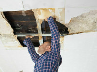 Mold Remediation Provo UT Solutions (2) - Servicii Casa & Gradina