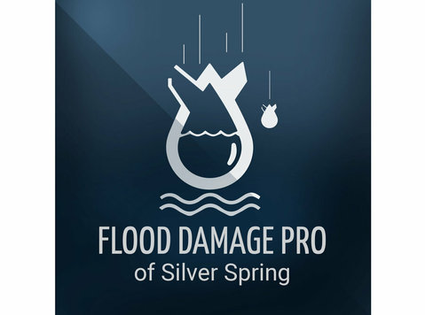 Flood Damage Pro of Silver Spring - Rakennus ja kunnostus