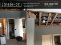 Flood Damage Pro of Silver Spring (1) - Building & Renovation