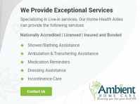 Ambient Home Care (3) - Ccuidados de saúde alternativos