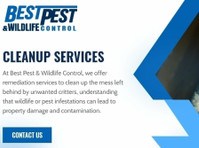 Best Pest Wildlife (2) - Serviços de Casa e Jardim