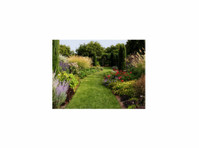 Complete Yard Service (1) - Градинари и уредување на земјиште