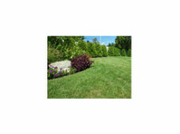 Complete Yard Service (3) - Gardeners & Landscaping