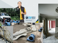 FDP Mold Remediation of Jersey City (2) - Nettoyage & Services de nettoyage