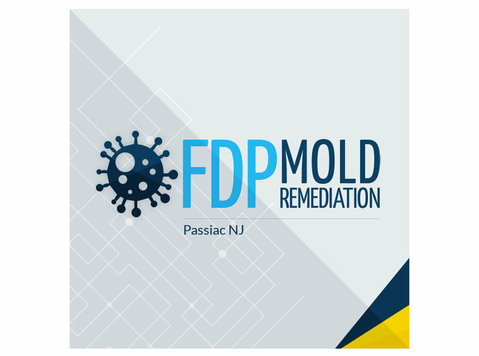 Fdp Mold Remediation of Passaic - Schoonmaak