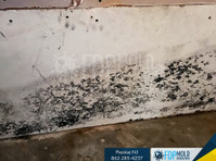 Fdp Mold Remediation of Passaic (1) - Limpeza e serviços de limpeza