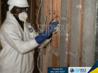 Fdp Mold Remediation of Passaic (3) - Limpeza e serviços de limpeza