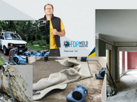 Fdp Mold Remediation of Paterson (2) - Limpeza e serviços de limpeza
