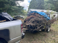 Up North Cleanup (1) - Home & Garden Services