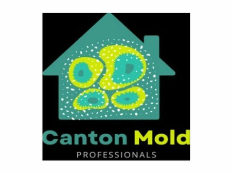 Mold Removal Canton Experts - Koti ja puutarha