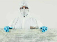 Mold Remediation Layton Experts (1) - Home & Garden Services