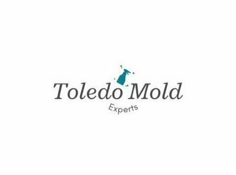 Mold Removal Toledo OH Solutions - Usługi porządkowe