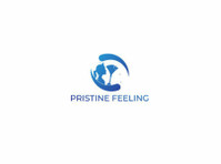 Pristine Feeling (3) - Cleaners & Cleaning services
