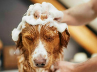 Canine Clips (2) - Huisdieren diensten