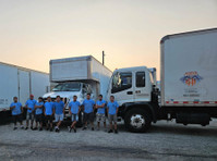 Asher Movers LLC (2) - Removals & Transport