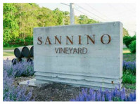 Sannino Vineyard (3) - Vino