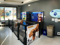 Pawsitively Kleen - Services aux animaux