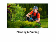 Falmouth Landscapers (3) - Градинарство и озеленяване
