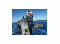 Reel Contender Fishing (1) - Pescuit şi Pescuitul Sportiv
