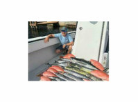 Reel Contender Fishing (2) - Makšķerēšana