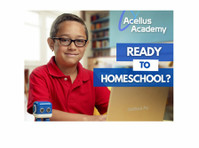 Acellus Academy (1) - On-line kurzy