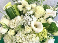 Florist of Larkspur - Royal Fleur (3) - Presentes e Flores