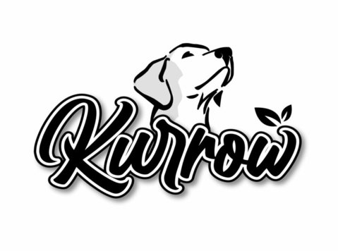 Kurrow - Webdesign