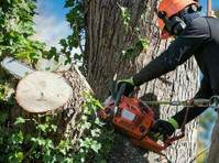 E.x.t Eagles Tree Maintenance (2) - Jardiniers & Paysagistes