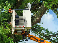 E.x.t Eagles Tree Maintenance (3) - باغبانی اور لینڈ سکیپنگ