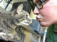 Kitty Kat Pet Sitting Services (1) - Servicios para mascotas