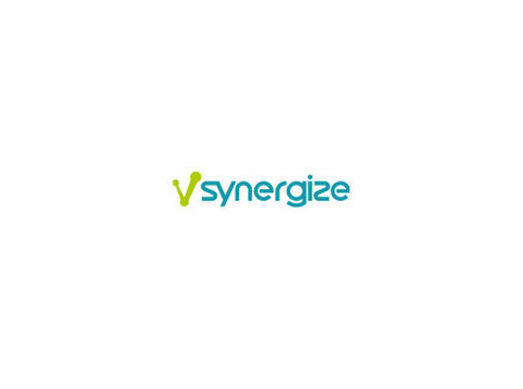 Vsynergize - Bizness & Sakares